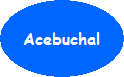 Acebuchal in Andalusien Acebuchal in Andalusien